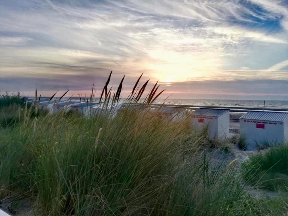 Seayousoon Nieuwpoort-Bad Kültér fotó